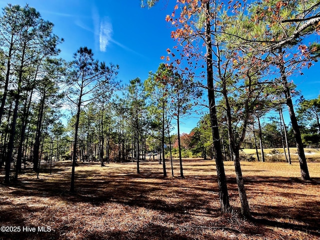 5841 Biltmore Pt Unit 35, Ocean Isle Beach NC, 28469 land for sale