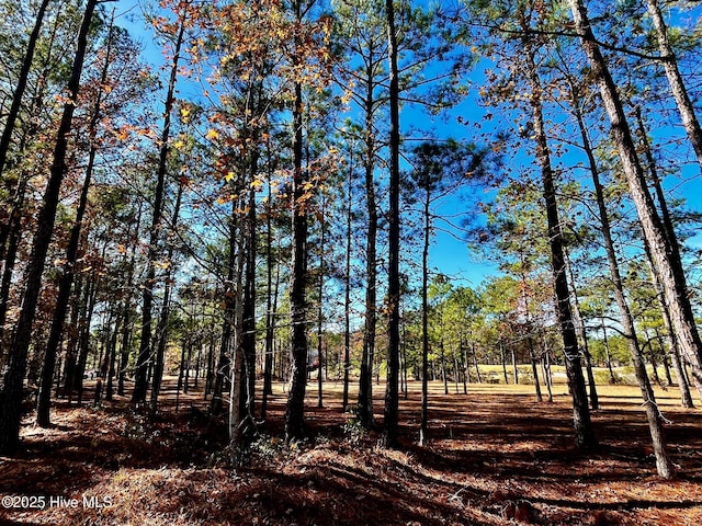 Listing photo 2 for 5841 Biltmore Pt Unit 35, Ocean Isle Beach NC 28469