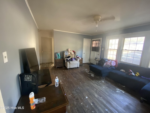 living room with crown molding, ceiling fan, and dark hardwood / wood-style floors