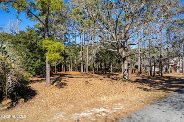 Listing photo 2 for 6508 Walden Pond Ln, Southport NC 28461