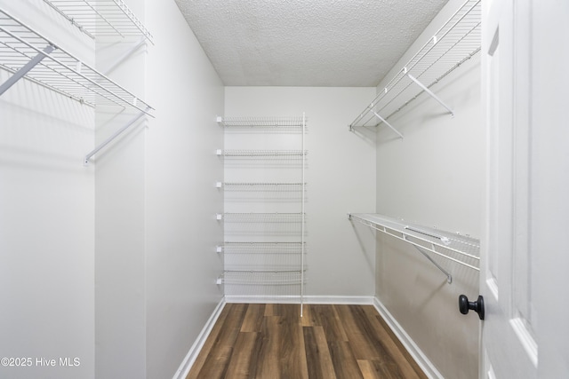 walk in closet featuring dark hardwood / wood-style floors