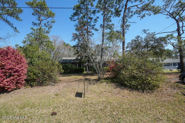 161 Willetts Dr, Boiling Spring Lakes, NC 28461 - view of green lawn
