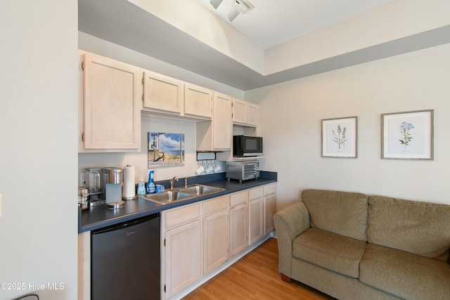 kitchen featuring light hardwood / wood-style floors, dishwashing machine, and sink