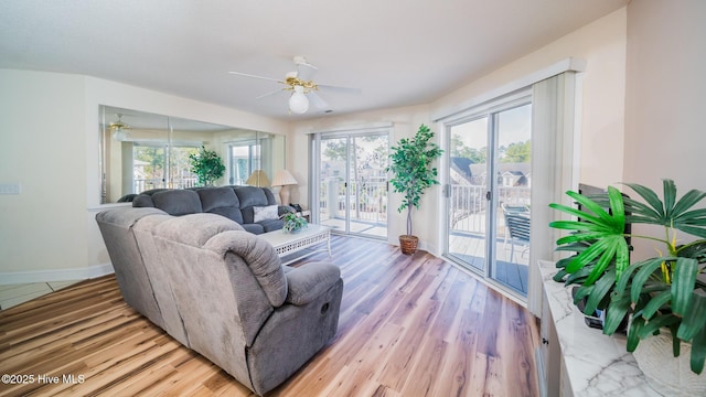 living room with a wealth of natural light, light hardwood / wood-style floors, and ceiling fan