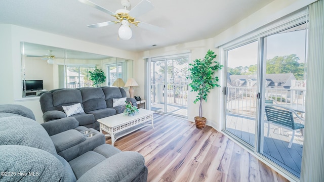 living room featuring ceiling fan and light hardwood / wood-style floors