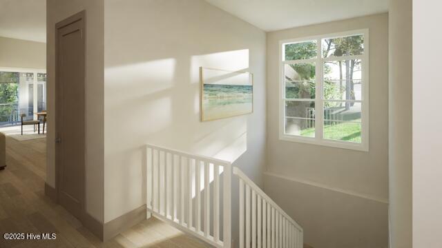 staircase with hardwood / wood-style flooring