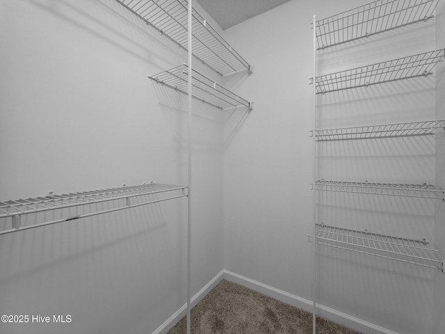 walk in closet with carpet