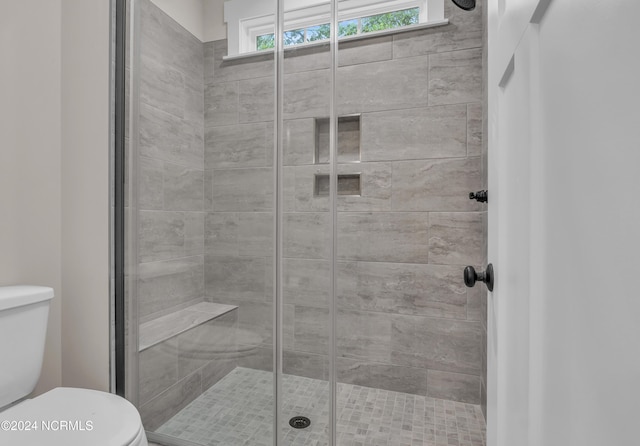 bathroom with a stall shower and toilet