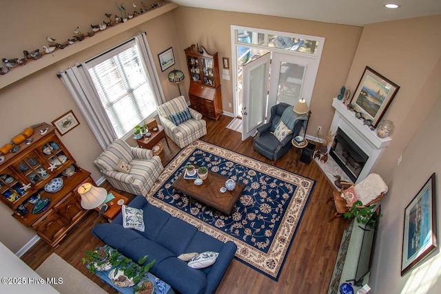 living room with dark hardwood / wood-style flooring