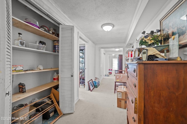 walk in closet with light carpet