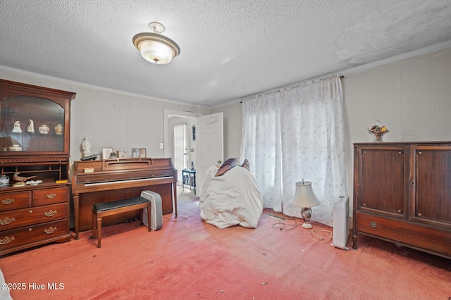 miscellaneous room featuring crown molding, carpet floors, and a textured ceiling