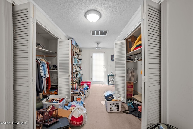 spacious closet featuring carpet