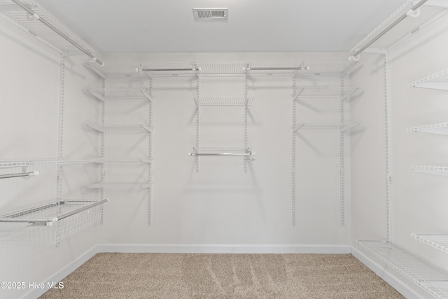 walk in closet with carpet floors