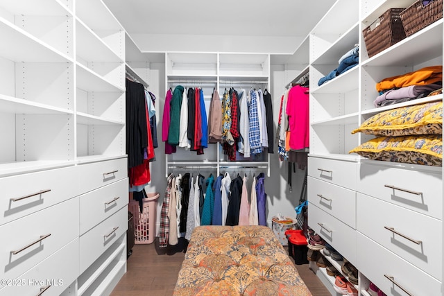 walk in closet featuring dark wood-type flooring