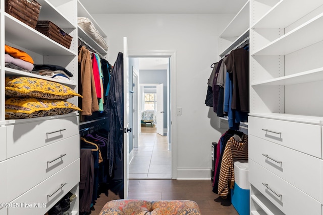 walk in closet featuring wood finished floors