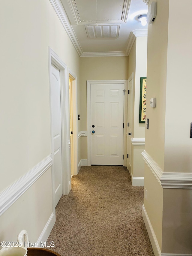 hallway with crown molding and carpet floors