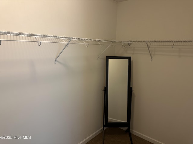 view of walk in closet