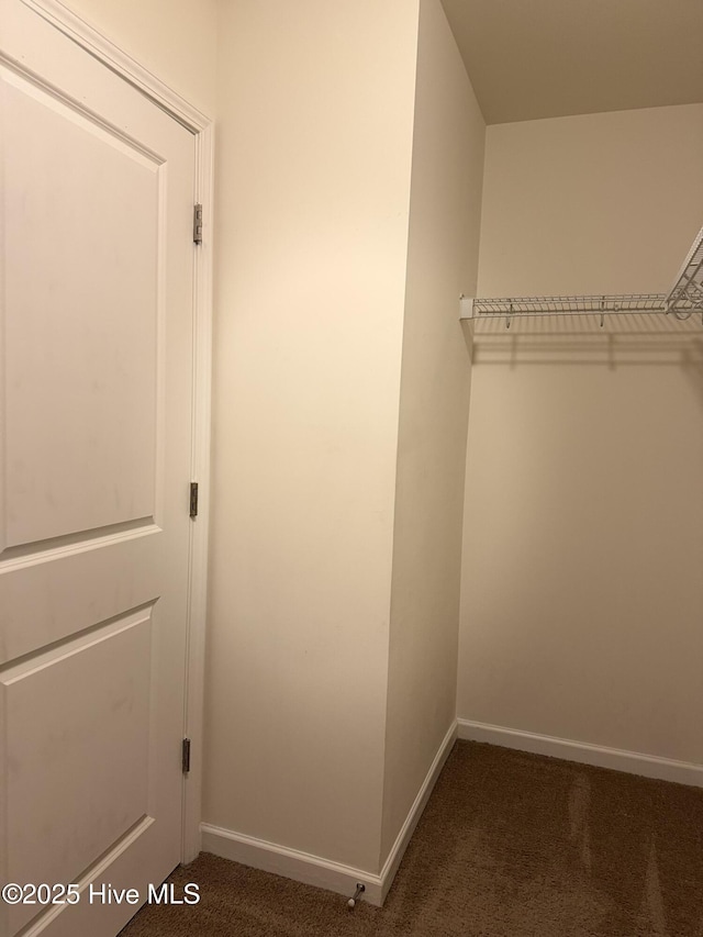 walk in closet with carpet flooring