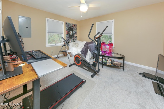 workout room featuring electric panel, ceiling fan, and carpet flooring