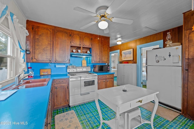 kitchen featuring sink, white appliances, ceiling fan, and wood walls