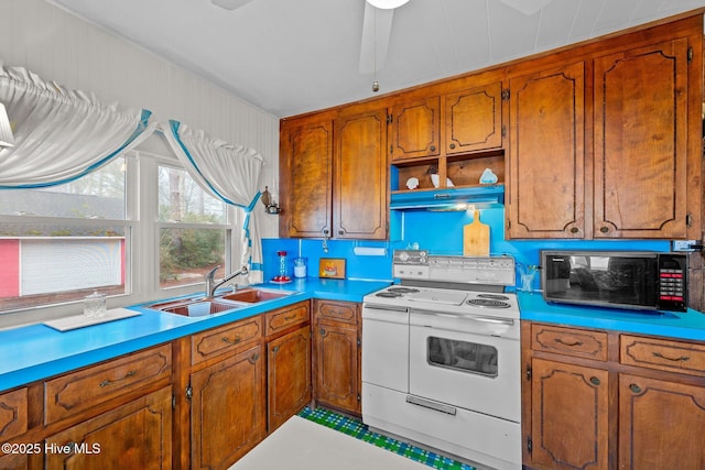 kitchen with electric stove, sink, and ventilation hood