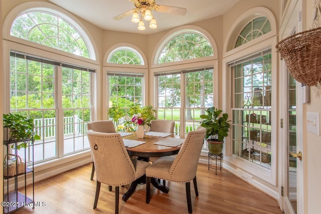 sunroom / solarium featuring ceiling fan