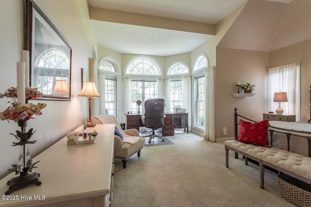 sitting room with light carpet