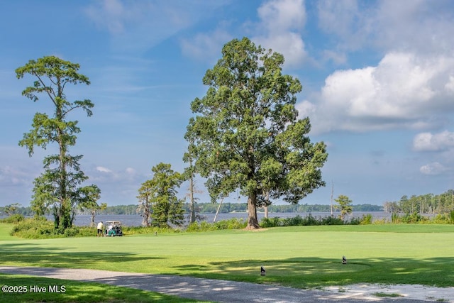 view of home's community featuring a lawn