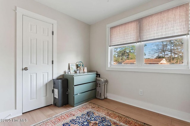 miscellaneous room with light wood-type flooring