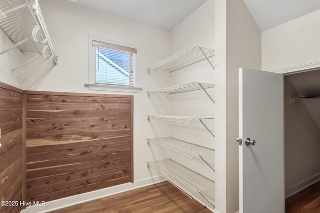 walk in closet featuring dark wood-style floors