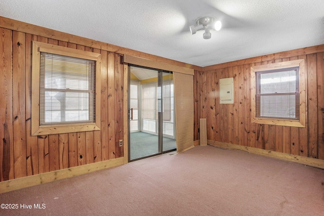 carpeted empty room featuring wooden walls, plenty of natural light, and electric panel