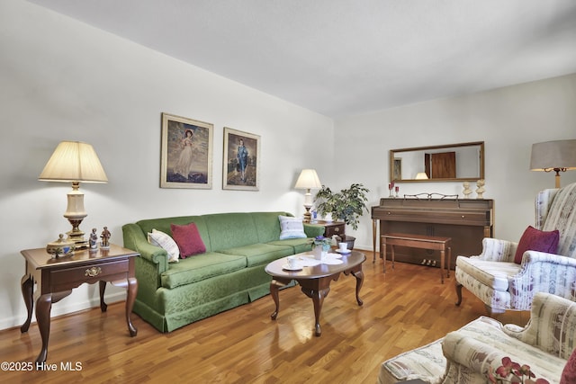 living room featuring wood-type flooring