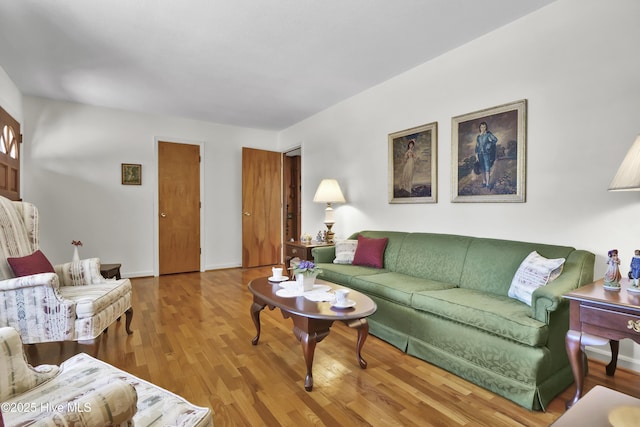 living room with wood-type flooring