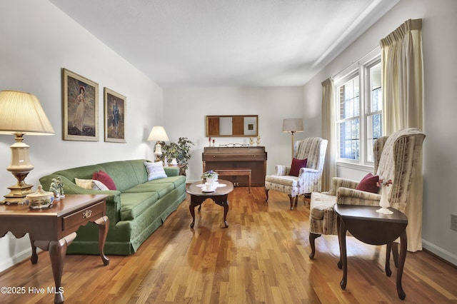 living room with wood-type flooring