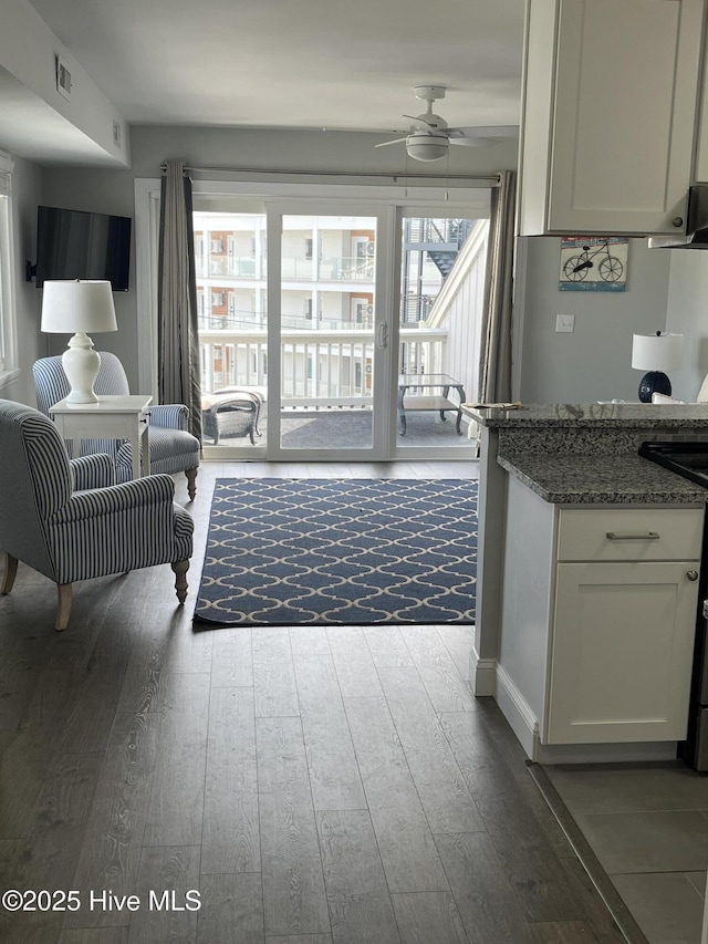 1801 Canal Dr Unit D14, Carolina Beach, NC 28428 - living area featuring a ceiling fan and hardwood / wood-style flooring