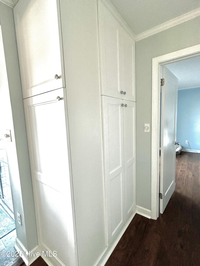 hallway featuring crown molding and dark wood-type flooring