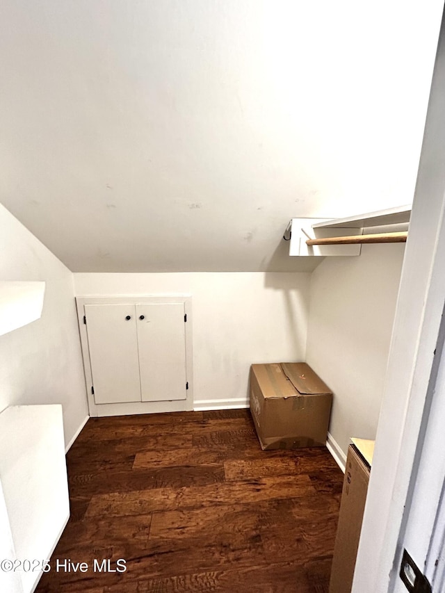 spacious closet featuring lofted ceiling and dark hardwood / wood-style floors