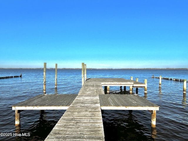 dock area featuring a water view