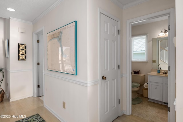 hall with sink, crown molding, and light wood-type flooring