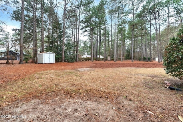 view of yard with a storage shed