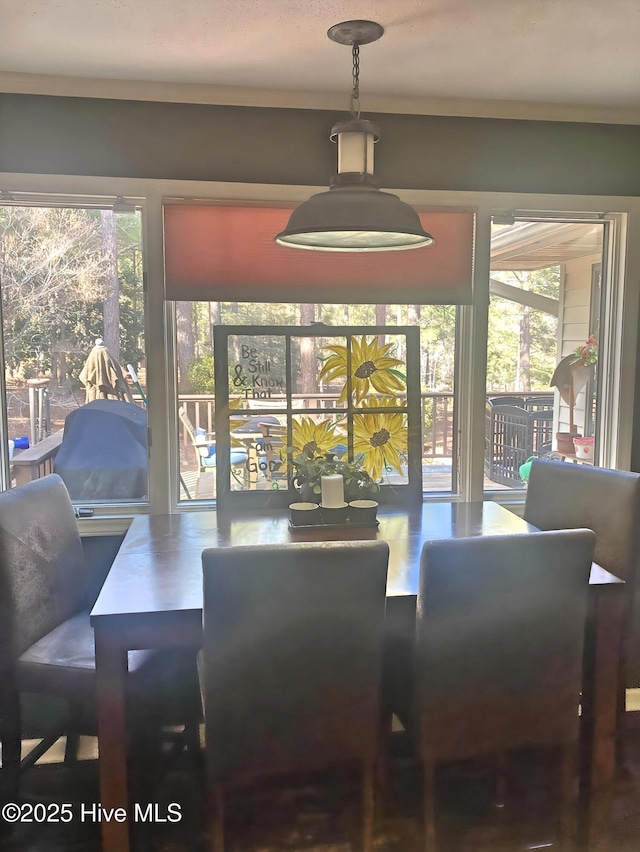 dining area featuring a wealth of natural light