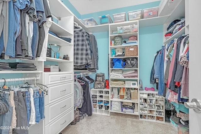 spacious closet featuring carpet flooring