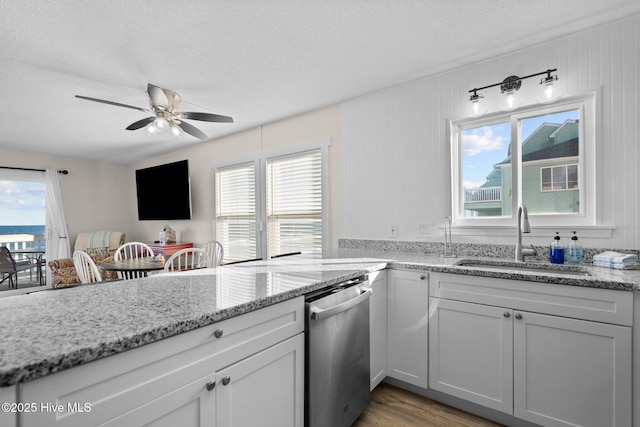 kitchen with stainless steel dishwasher, plenty of natural light, a sink, and a ceiling fan