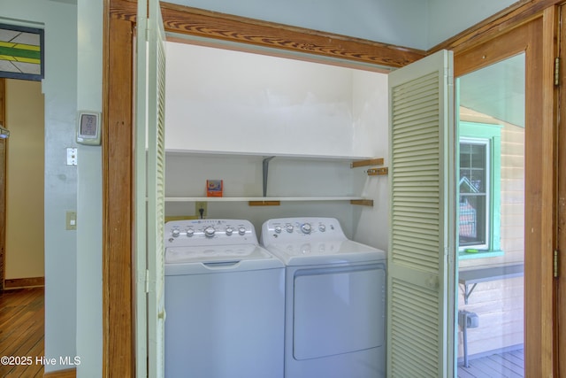 laundry room with wood-type flooring and independent washer and dryer