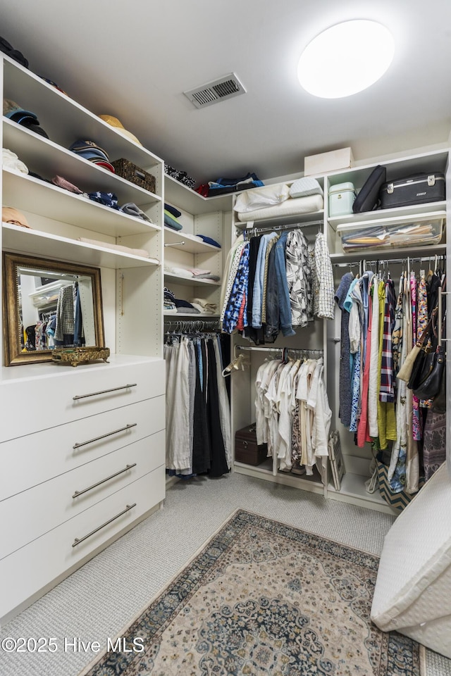 spacious closet featuring carpet flooring