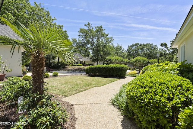 view of green lawn
