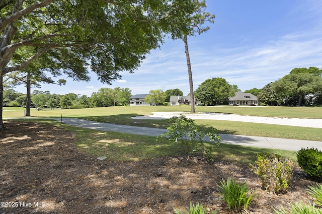 view of green lawn