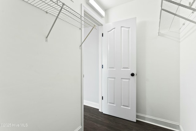 spacious closet featuring dark hardwood / wood-style floors