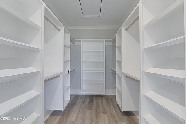 walk in closet with wood-type flooring