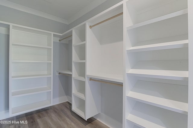 spacious closet featuring dark hardwood / wood-style flooring